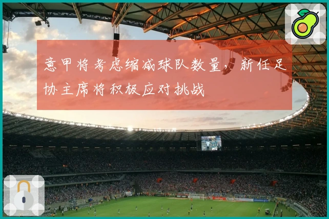 意甲将考虑缩减球队数量，新任足协主席将积极应对挑战