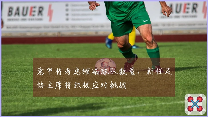 意甲将考虑缩减球队数量，新任足协主席将积极应对挑战